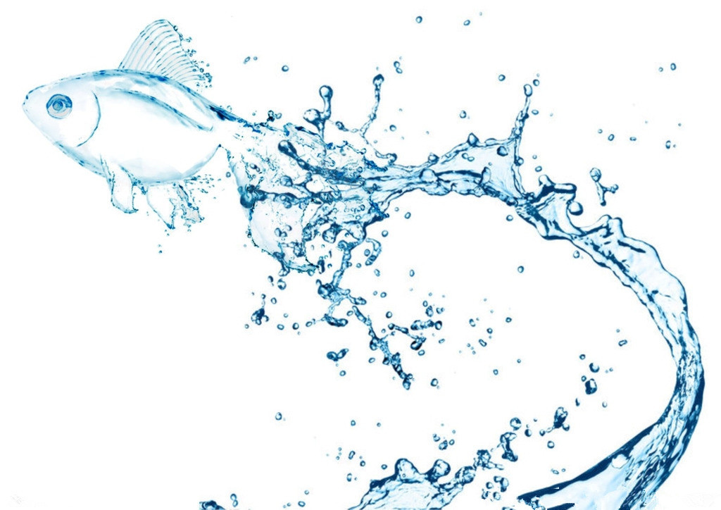 基材潤(rùn)濕劑，迪高基材潤(rùn)濕劑，涂料基材潤(rùn)濕劑