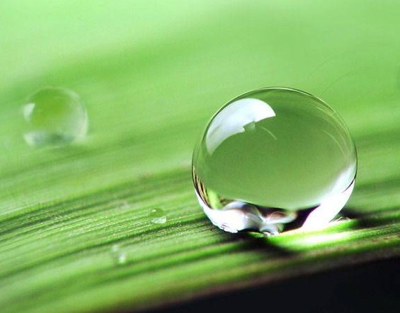 涂料潤濕劑<a href='https://www.m.npxsmy.com/product/product-0001,0011,0020.shtml' class='keys' title='點擊查看關(guān)于分散劑的相關(guān)信息' target='_blank'>分散劑</a>