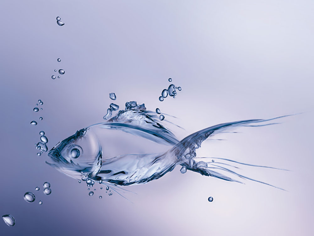 潤濕<a href='https://www.m.npxsmy.com/product/product-0001,0011,0020.shtml' class='keys' title='點擊查看關(guān)于分散劑的相關(guān)信息' target='_blank'>分散劑</a>