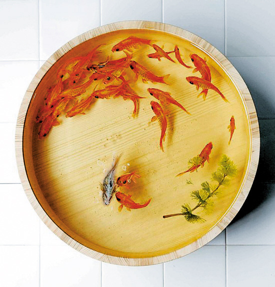 <a href='/product/product-0001,0013.shtml' class='keys' title='點(diǎn)擊查看關(guān)于水性聚氨酯的相關(guān)信息' target='_blank'>水性聚氨酯</a>、油性聚氨酯